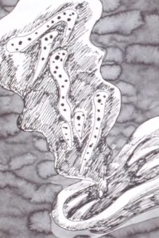 Ten Nights' Dreams