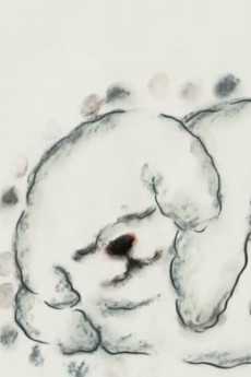 The Cloudy Dog Talk About