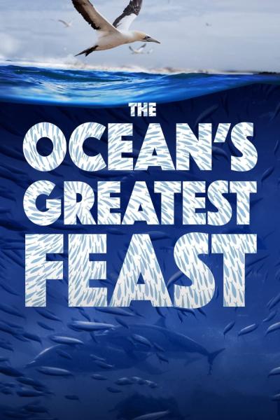 The Ocean's Greatest Feast