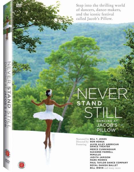 Never Stand Still
