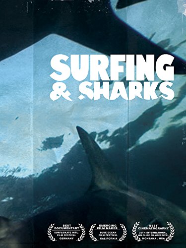 Surfing and Sharks