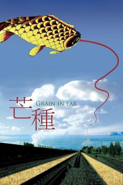 Mang zhong