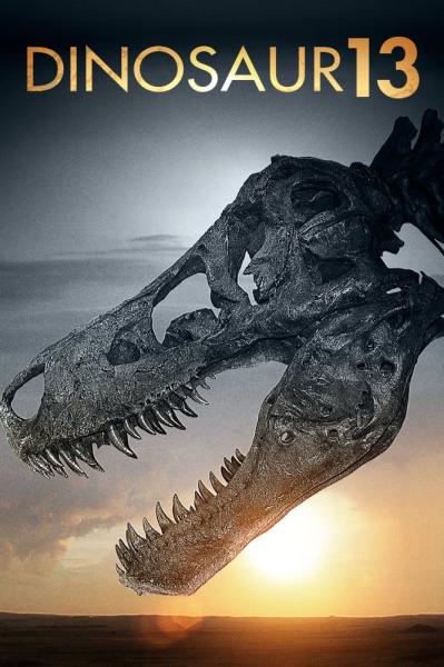 Dinosaur 13