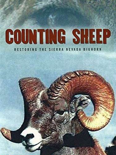 Counting Sheep