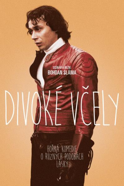 Divoké vcely