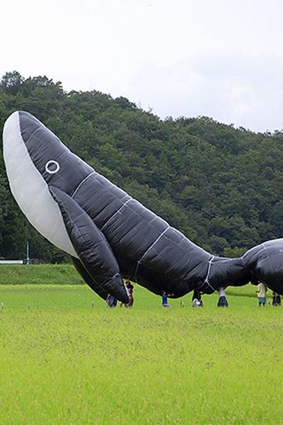 The Name of the Whale