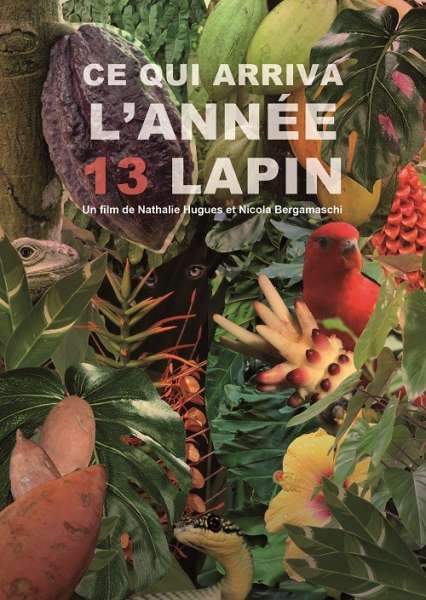 Ce qui arriva l'année 13 lapin