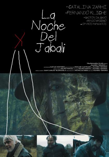 The Night of the Wild Boar