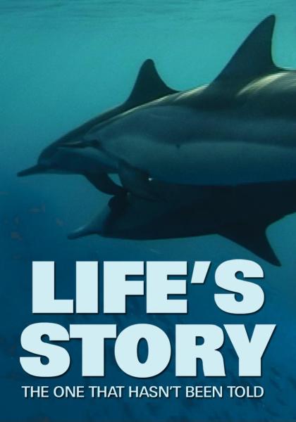 Life's Story
