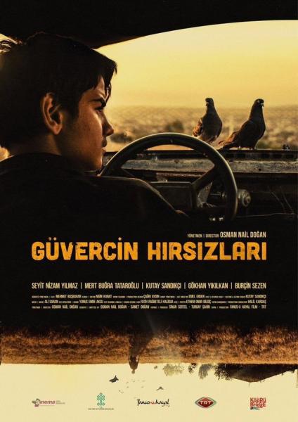 Güvercin Hirsizlari