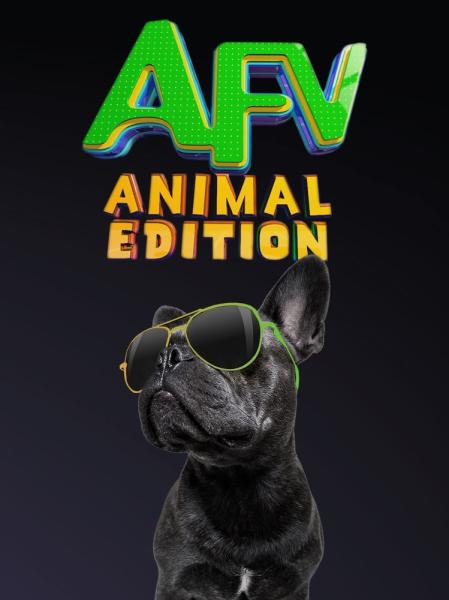 America's Funniest Videos: Animal Edition