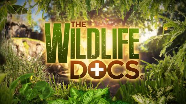 The Wildlife Docs