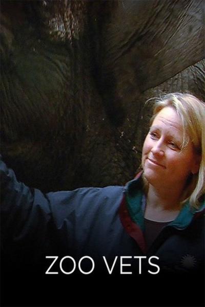 Zoo Vets
