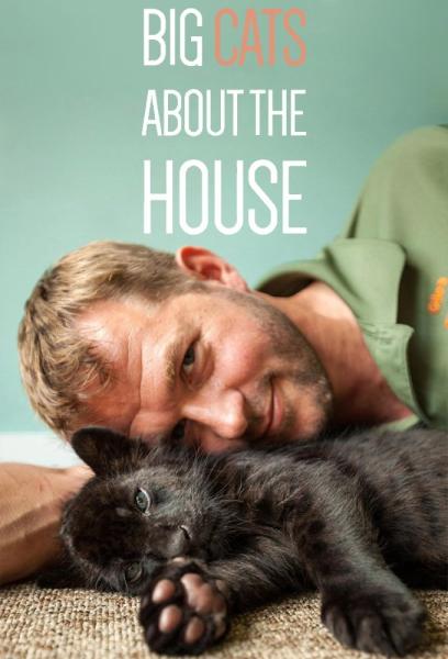Big Cats About the House